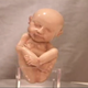 Image for article titled You Can Now Buy a Life-Size, 3D-Printed Replica of Your Unborn Fetus